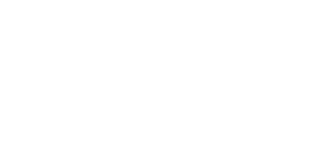 DayZ